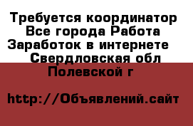 Требуется координатор - Все города Работа » Заработок в интернете   . Свердловская обл.,Полевской г.